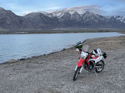 2016 Crf250l