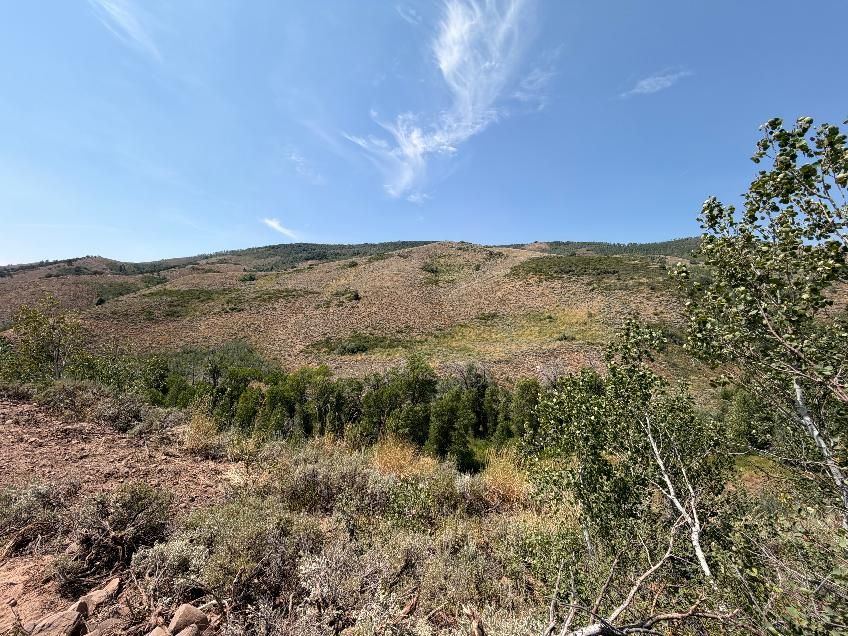 Main image 6
