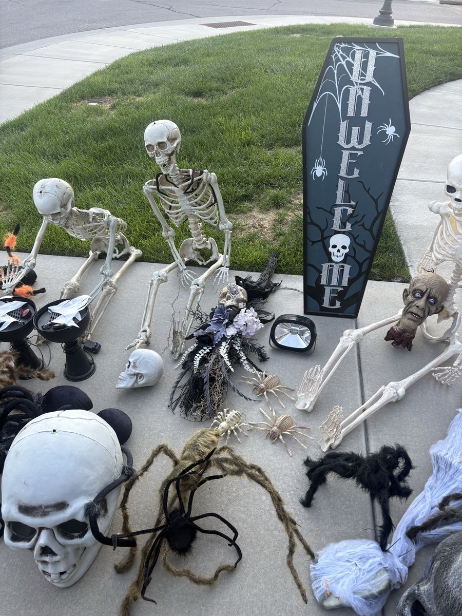 Main image 7