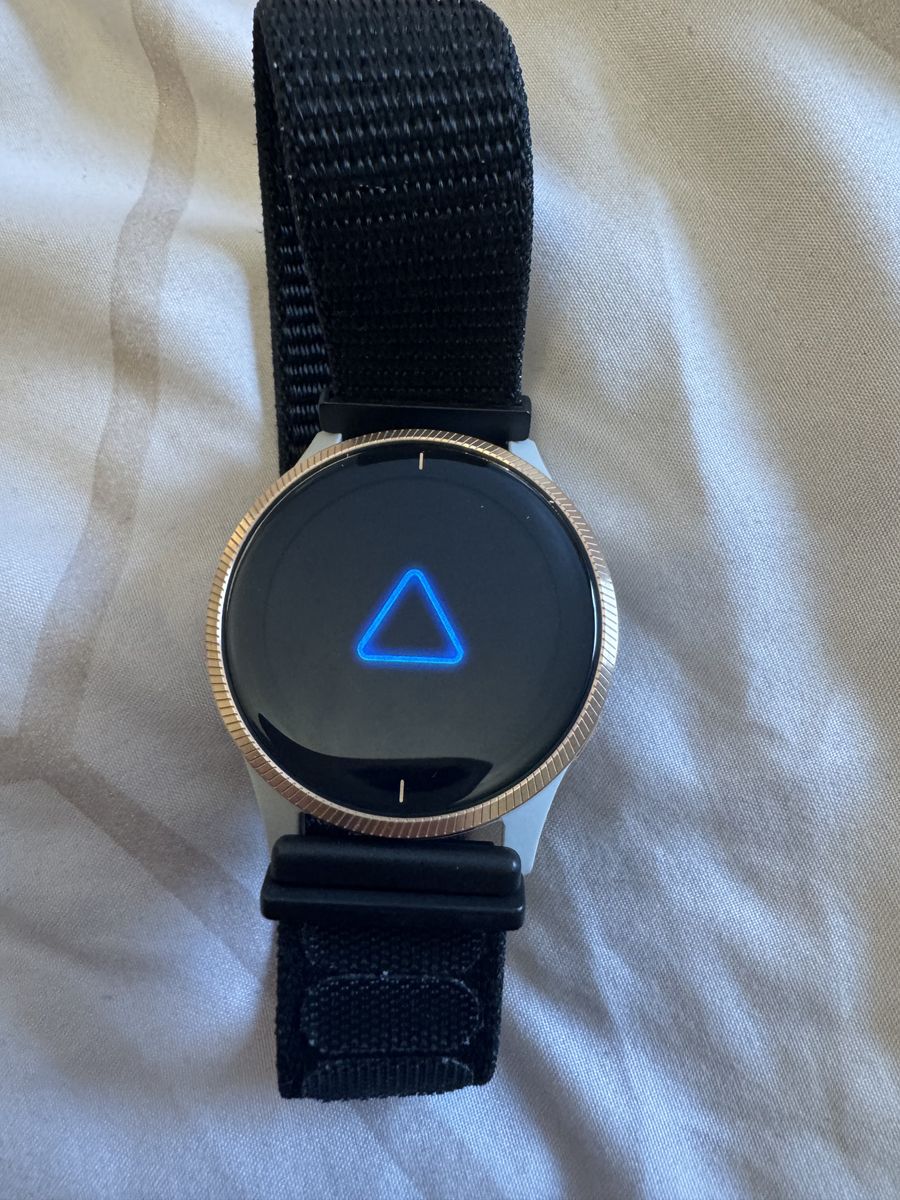 Garmin Venu Smart Watch