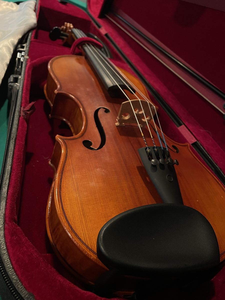 Custom 15” W600 Paganini Viola with Velvet Case