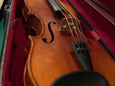 Custom 15” W600 Paganini Viola with Velvet Case