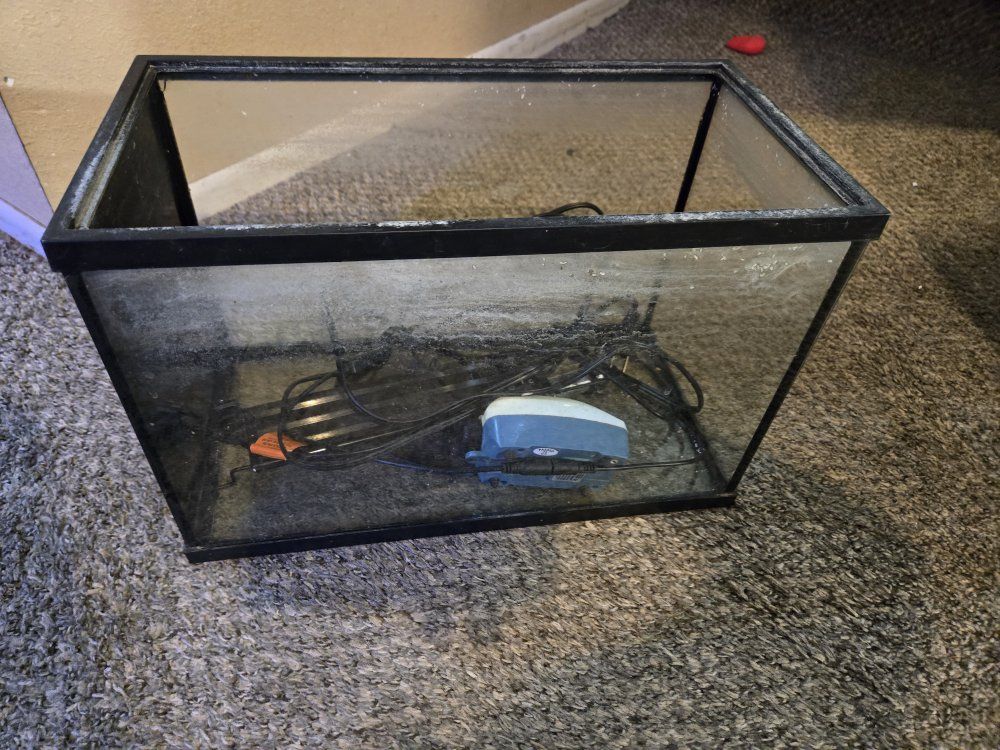 5 gallon aquarium set up