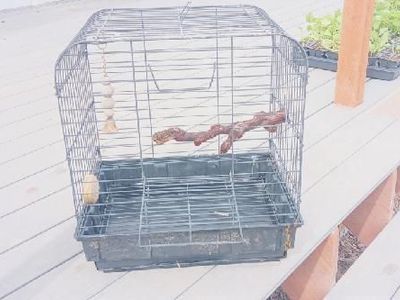 Bird Cage