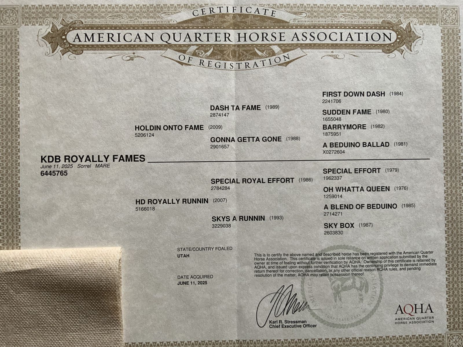 Main image 2
