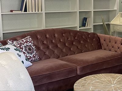 Velvet couch
