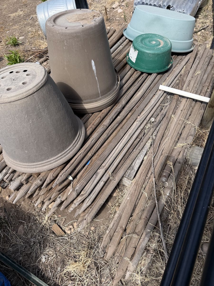 8’ tree stakes