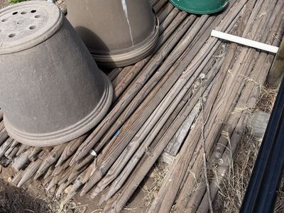8’ tree stakes