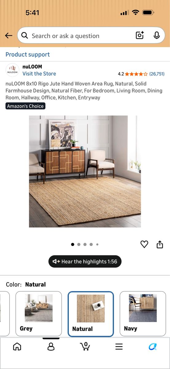 8x10 woven rug