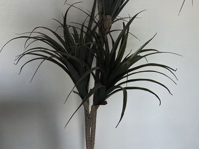 Artificial Potted Yucca Palm Tree Decorative Floor Plant