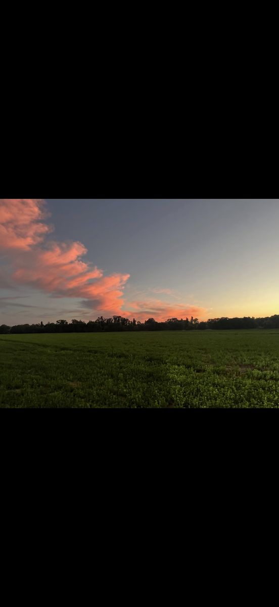 50.8 Acres Farm Ground