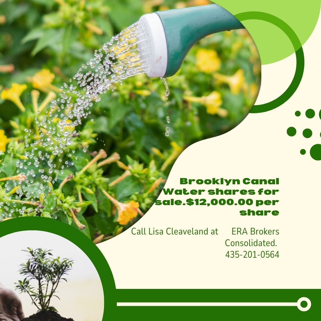 Brooklyn Canal Water Shares