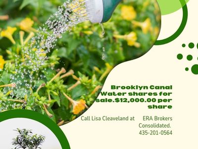 Brooklyn Canal Water Shares
