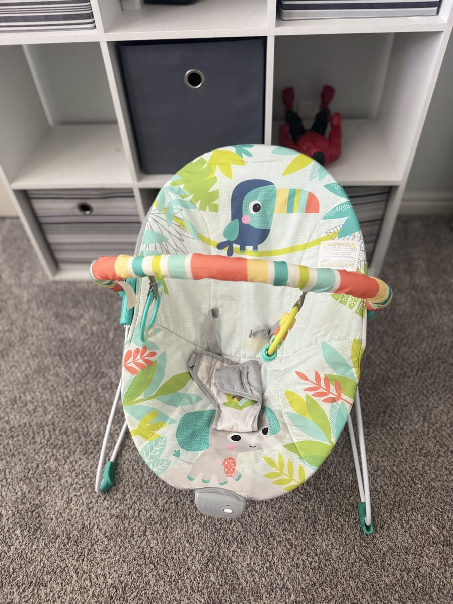 Baby Bouncer