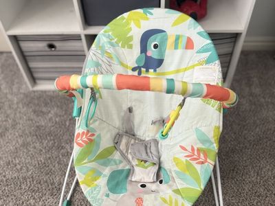Baby Bouncer