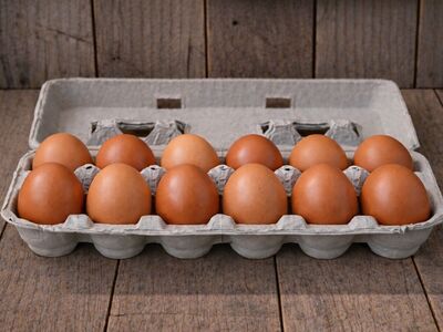 eggs for sale from backyard healthy flock