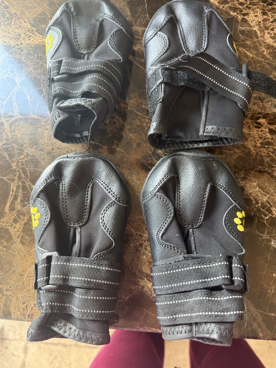 Dog shoes
