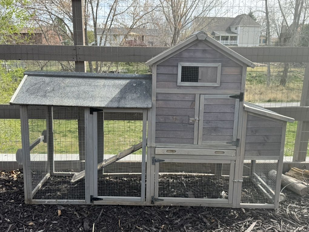 Chicken Coop
