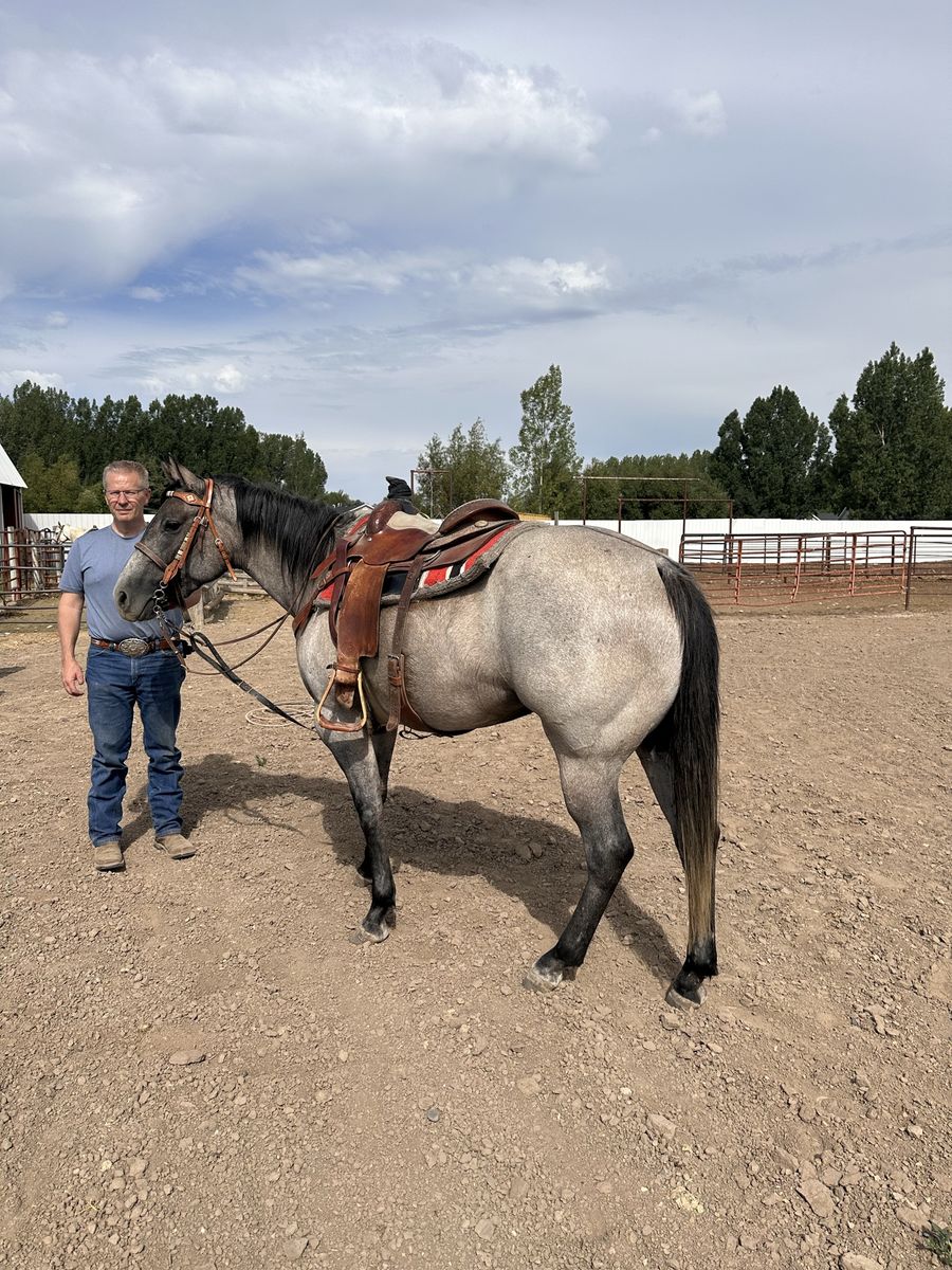 2022 AQHA Filly Rope and Ranch horse
