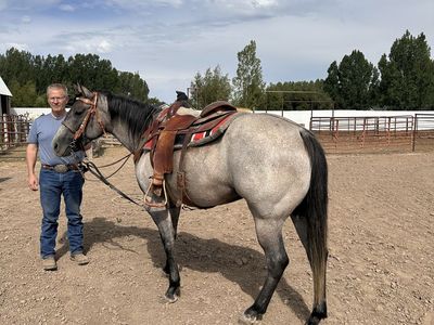 2022 AQHA Filly Rope and Ranch horse