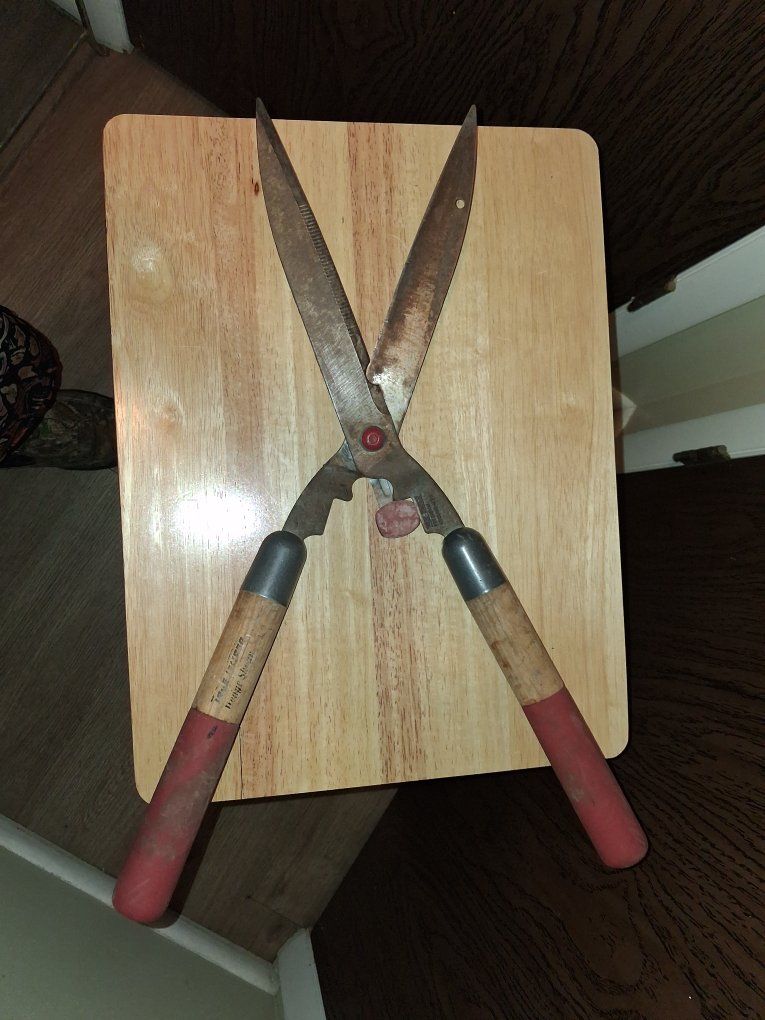 Vintage True Temper Wood Handle Hedge Shears