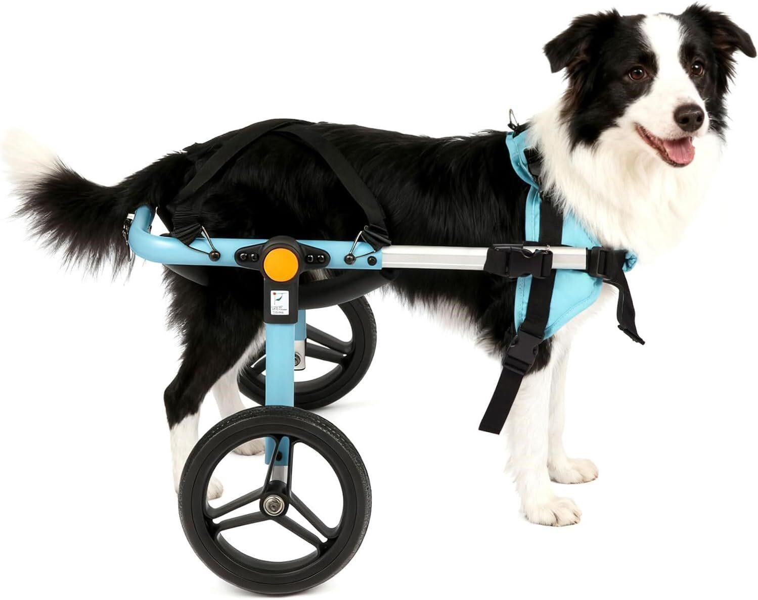 TailWaggers Dog Wheelchair for Back Legs