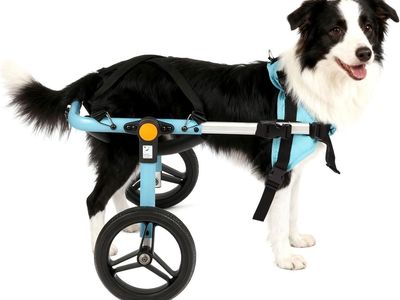 TailWaggers Dog Wheelchair for Back Legs