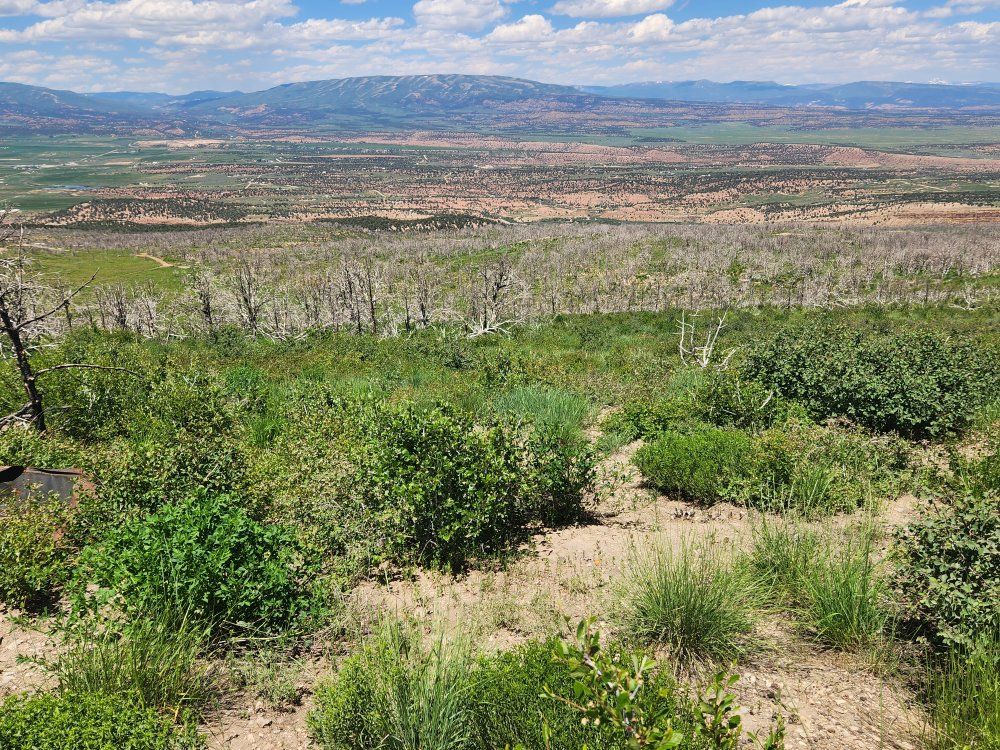 Main image 13