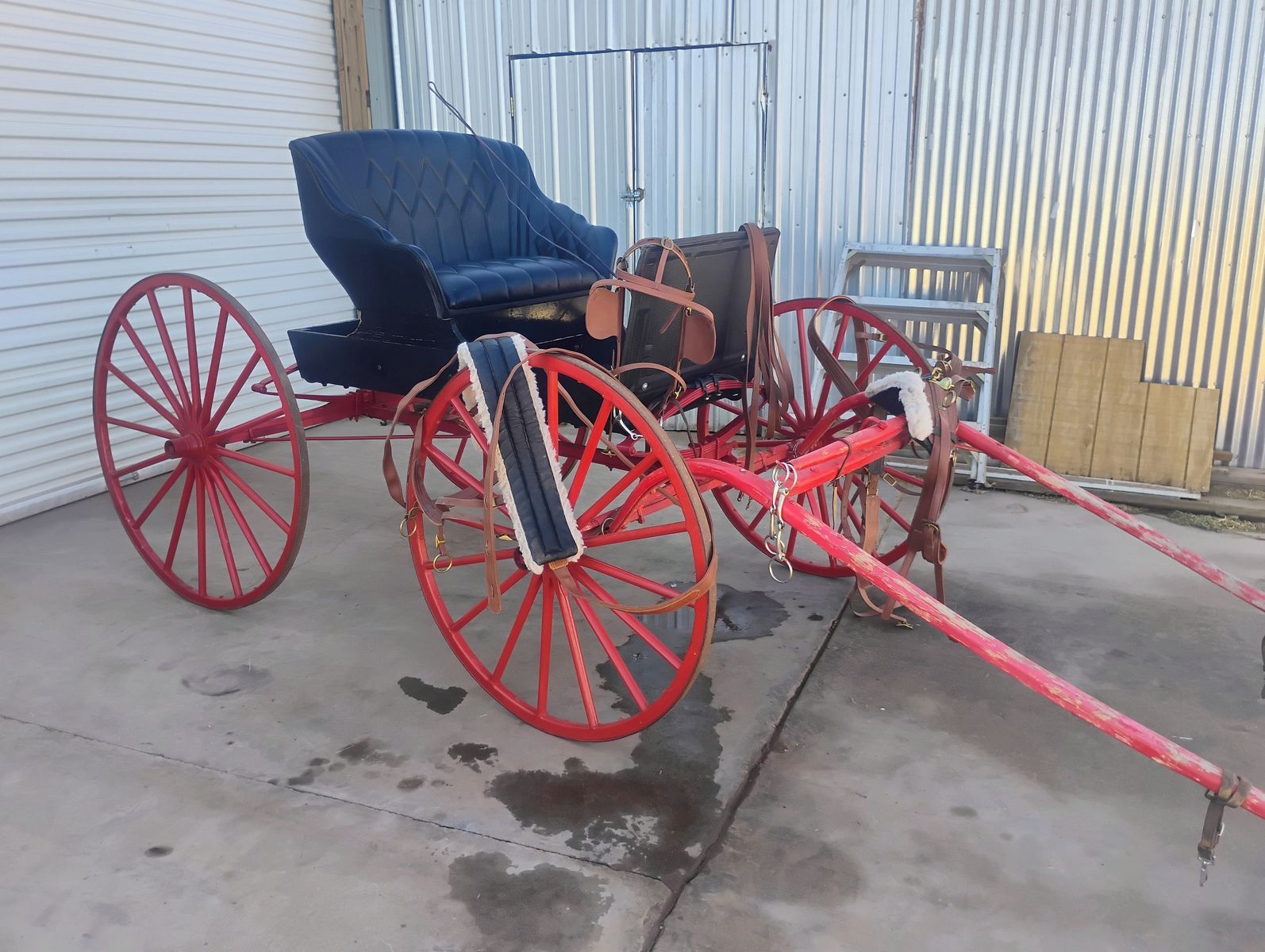 Vintage Single Horse Doctor's Buggy – Ready to Use – Harness, 3 Different Size Snaffle Bits, Reins, Whip & Cover Included