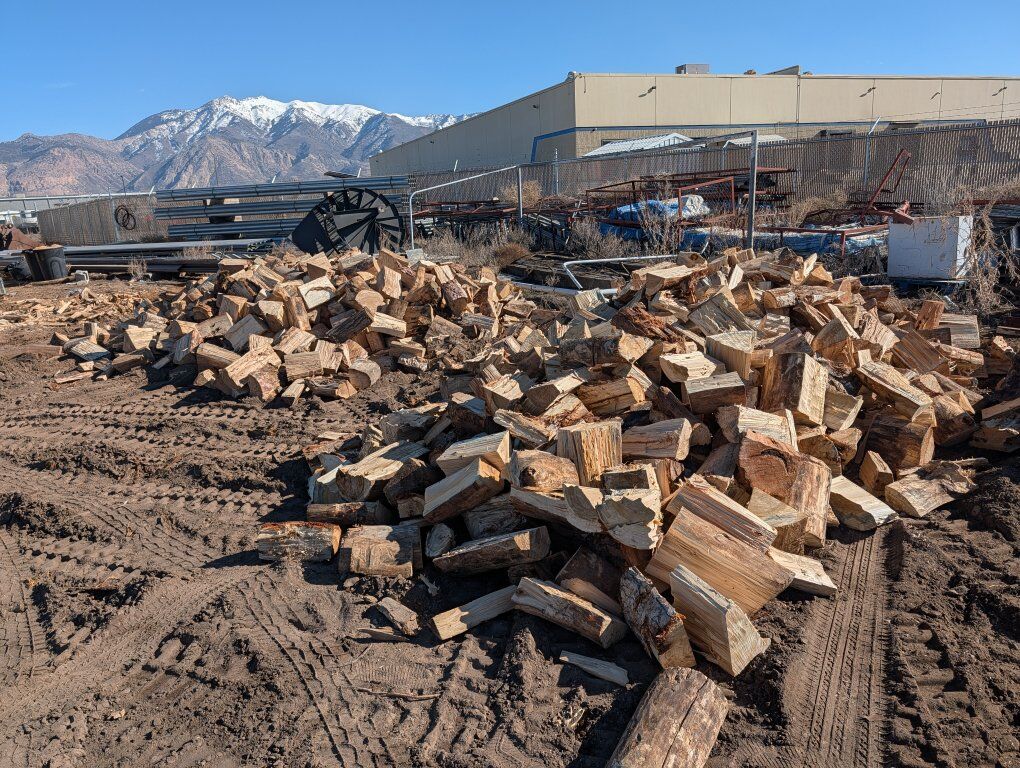 seasoned firewood