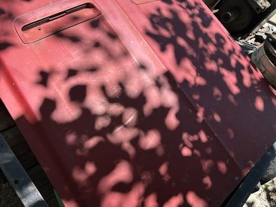 1967,68 Mustang hood