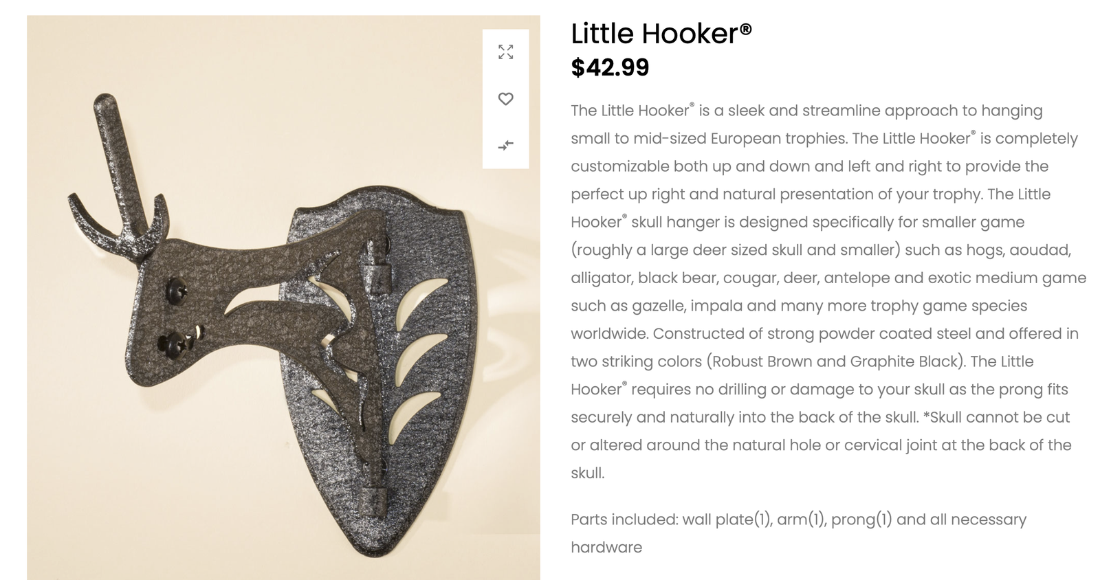 European skull mount bracket - Little Hooker