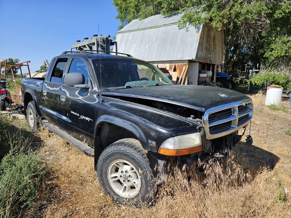 2000 Dodge Dakota 