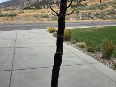 Handcrafted Wooden Branch Coat Rack Rustic Stand