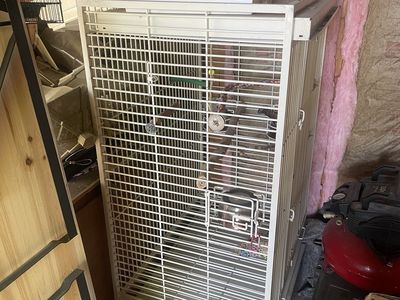 Large bird pen