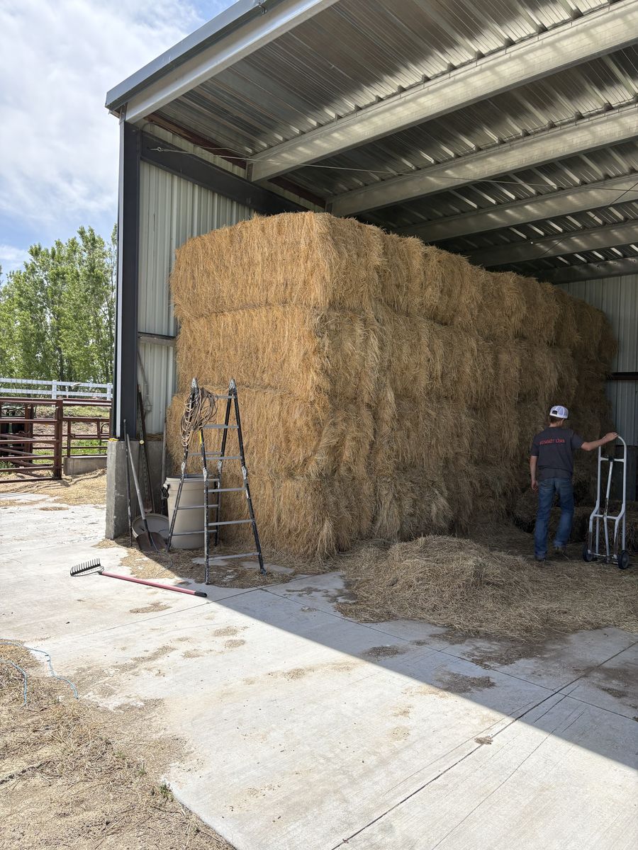 3x3 Last yers crop of Grass