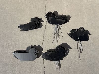 4.5 Dozen Black Duck Silos