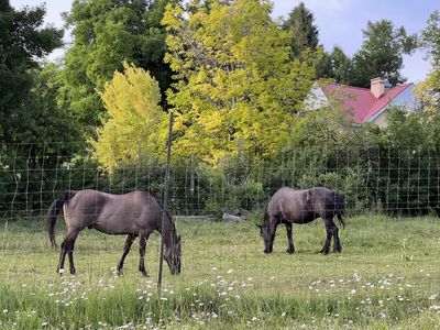 Pasture for rent in North Logan