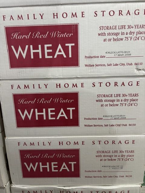 Food Storage Wheat, Pinto Beans