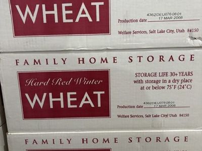 Food Storage Wheat, Pinto Beans