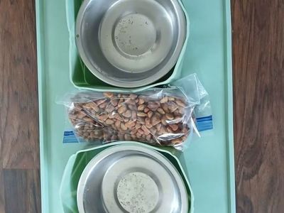 Pet feeding bundle ready to go!