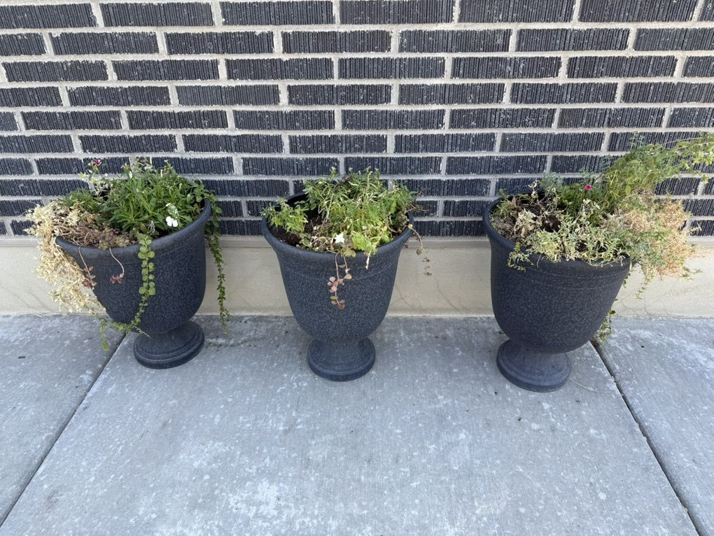 Set Of 3 Planters