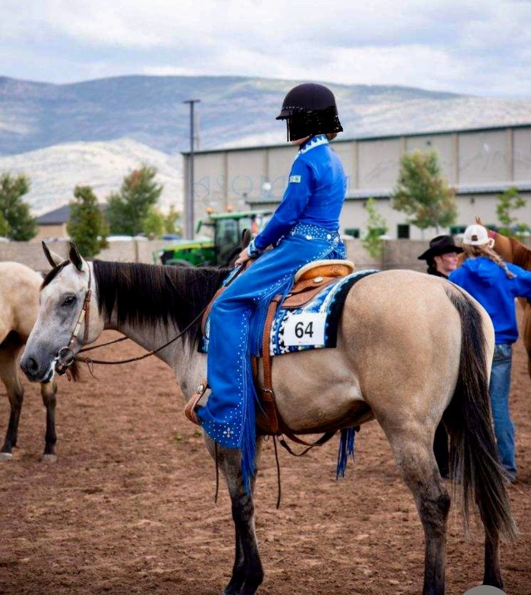 Beautiful 8 yr. old buckskin mare!