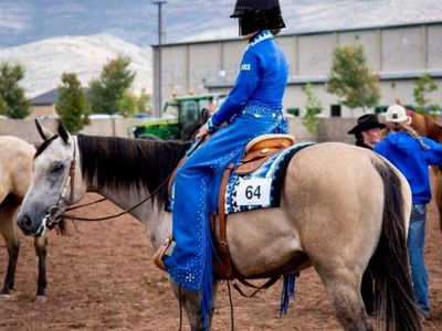 Beautiful 8 yr. old buckskin mare!