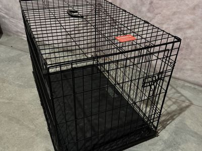 Black Wire Dog Crate with Pad and Removable Tray
