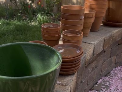 Flower Pots / Planters