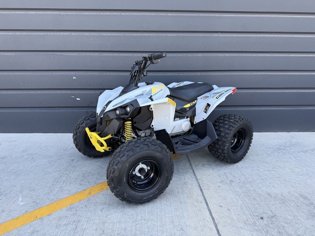 2026 Can-Am® Renegade 110 EFI
