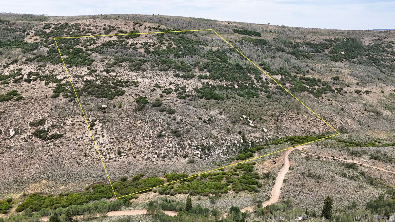 Main image 2