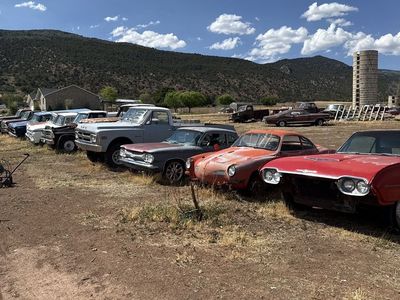 Car collection