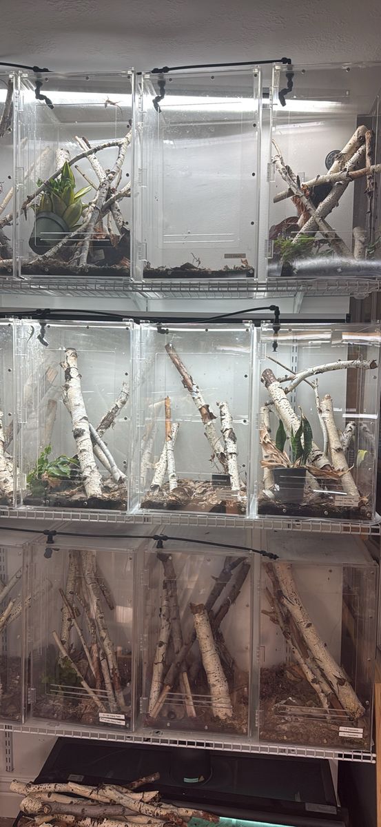 Reptile enclosures